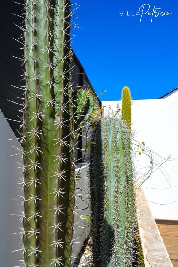 Villa Patricia Corralejo Luaran gambar